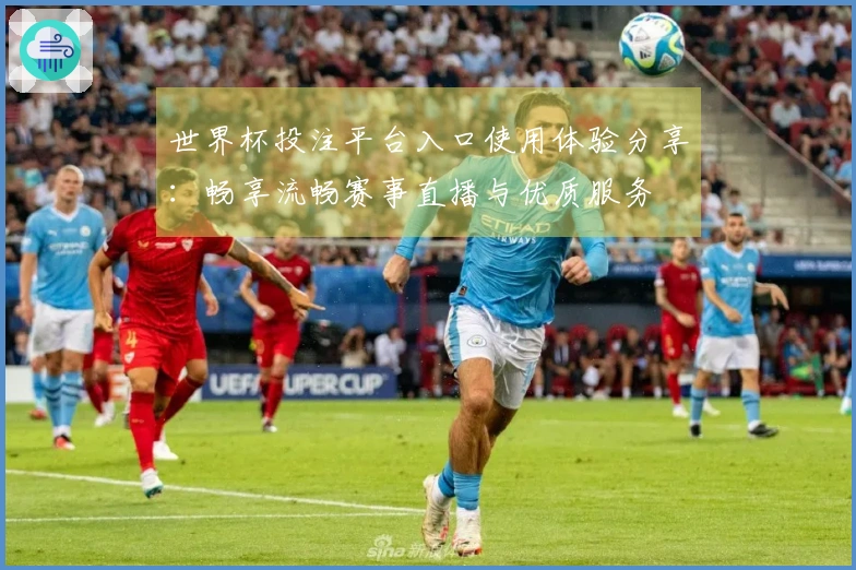 世界杯投注平台入口使用体验分享:畅享流畅赛事直播与优质服务