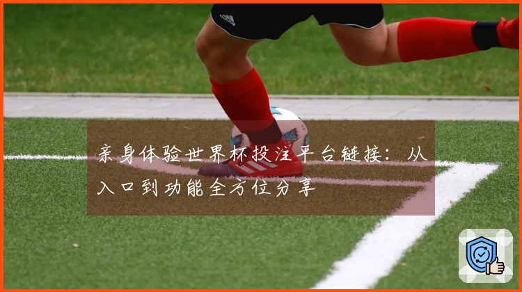 亲身体验世界杯投注平台链接:从入口到功能全方位分享