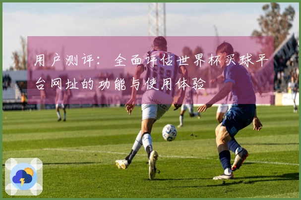 用户测评：全面评估世界杯买球平台网址的功能与使用体验
