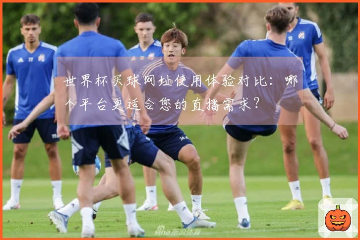世界杯买球网址使用体验对比：哪个平台更适合您的直播需求？