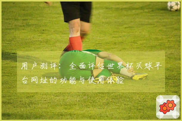 用户测评:全面评估世界杯买球平台网址的功能与使用体验
