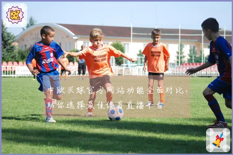 中欧买球官方网站功能全面对比，助你选择最佳体育直播平台