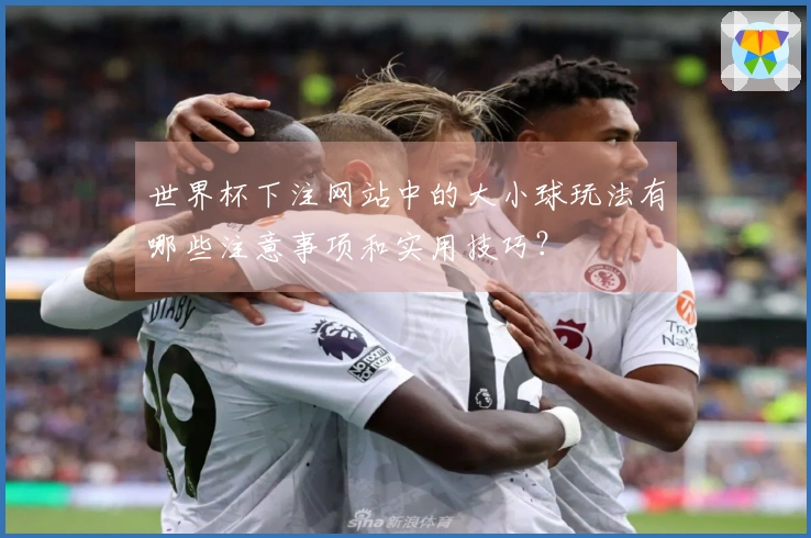 世界杯下注网站中的大小球玩法有哪些注意事项和实用技巧？