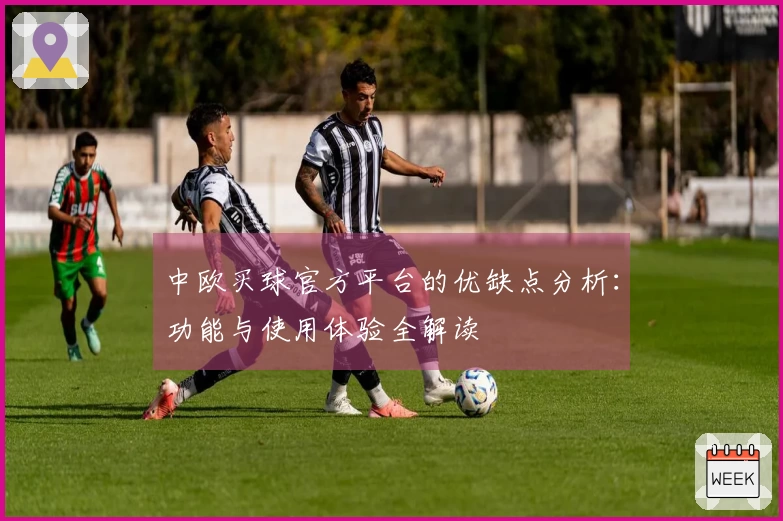 中欧买球官方平台的优缺点分析：功能与使用体验全解读