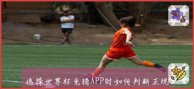 选择世界杯竞猜APP时如何判断正规平台与安全性？