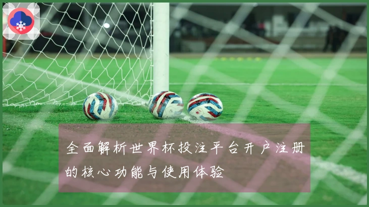全面解析世界杯投注平台开户注册的核心功能与使用体验