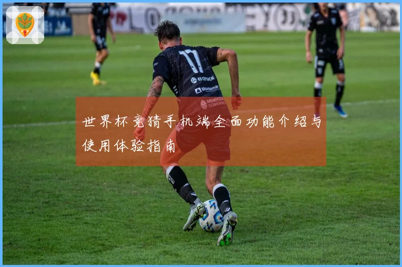 世界杯竞猜手机端全面功能介绍与使用体验指南