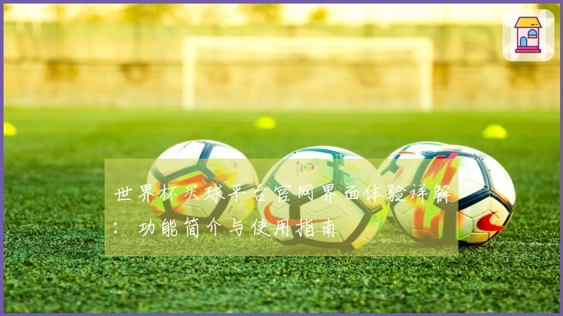 世界杯买球平台官网界面体验详解：功能简介与使用指南