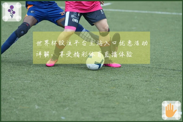 世界杯投注平台主站入口优惠活动详解,享受精彩体育直播体验