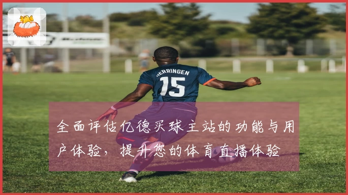 全面评估亿德买球主站的功能与用户体验，提升您的体育直播体验